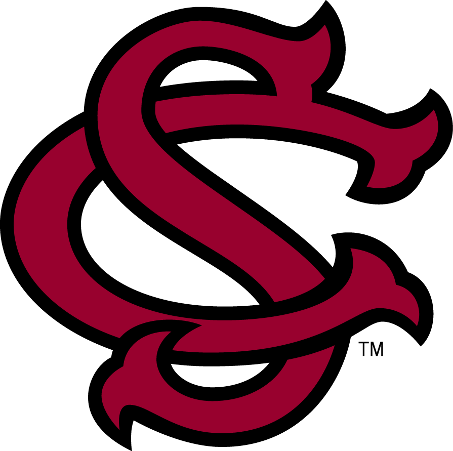 South Carolina Gamecocks 1993-Pres Alternate Logo 01 iron on paper